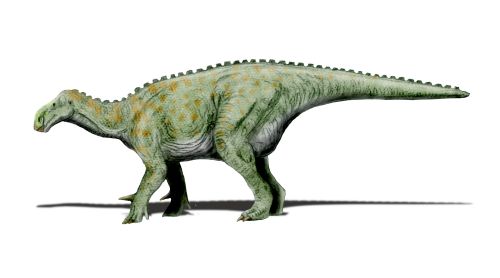 File:Iguanodon NT.jpg