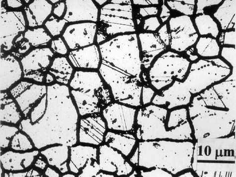 File:Sensitized structure of 304 stainless steel.jpg