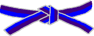 File:Judo blue-purple belt.PNG