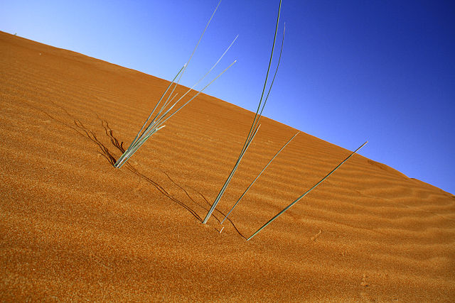 File:Desert of Dubai 2010.jpg