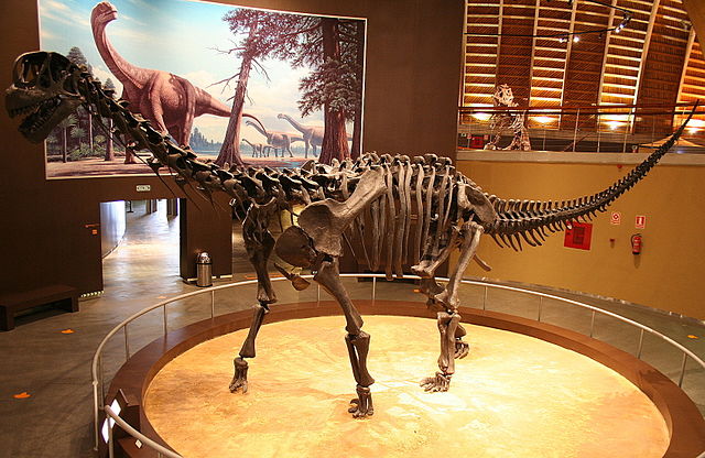 File:MUJA-Sauropod.JPG