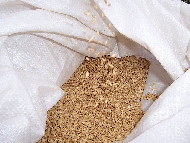 File:Wheat in sack.jpg