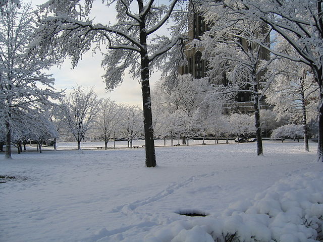 File:CathedralofLearningLawinWinter.jpg