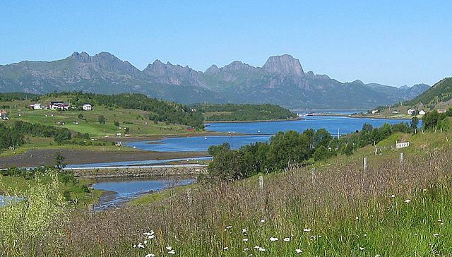 File:Fra Oshaugen.jpg