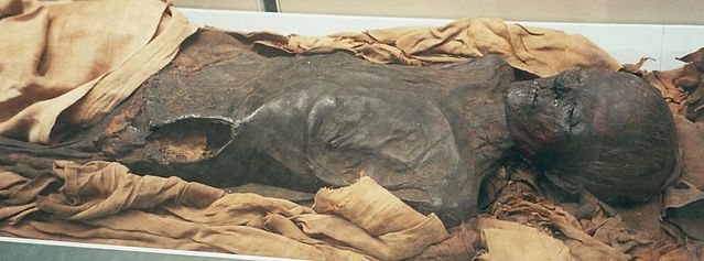File:Mummy 501594 fh000031.jpg