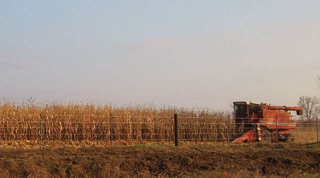 File:Iowa harvest 2009.jpg