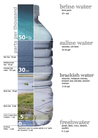 File:Water salinity diagram.png