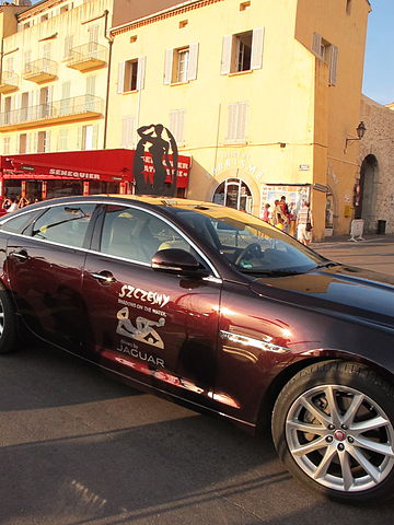 File:JaguarSzczesnyShadowsculpture SaintTropez.jpg