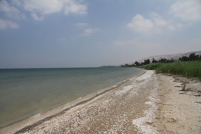File:Beach of Sea of Galilee in summer 2011.JPG