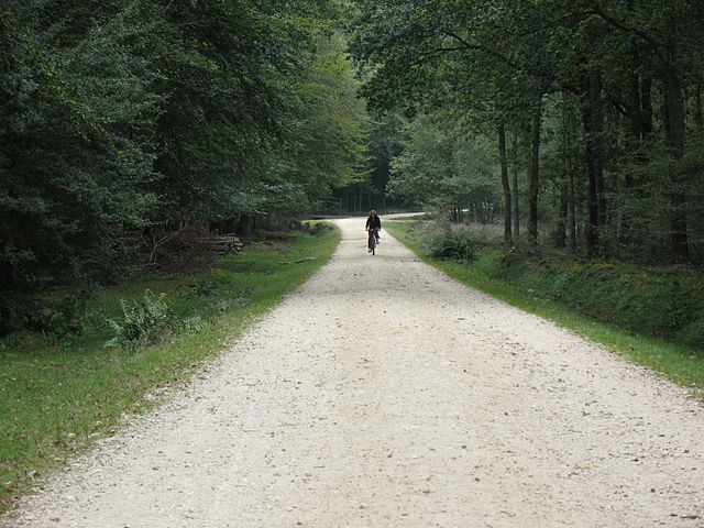 File:New Forest Cycle path.jpg