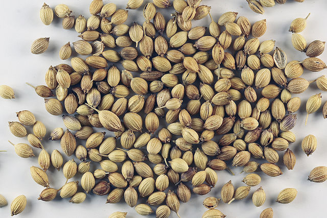 File:Sa-cilantro seeds.jpg