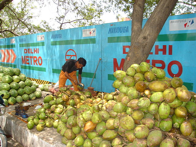 File:Green Coconut Vendor in India in Summer.jpg