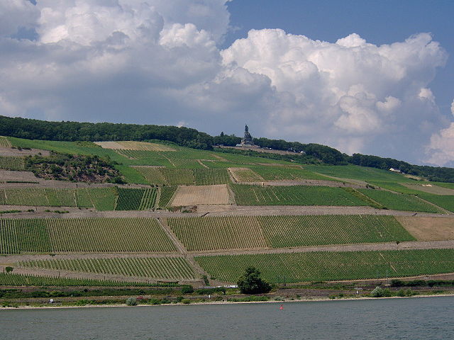 File:German Vineyard.JPG
