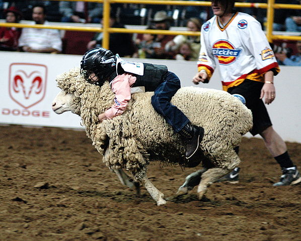 File:Mutton bustin.jpg