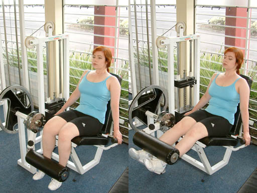 File:LegExtensionMachineExercise.JPG