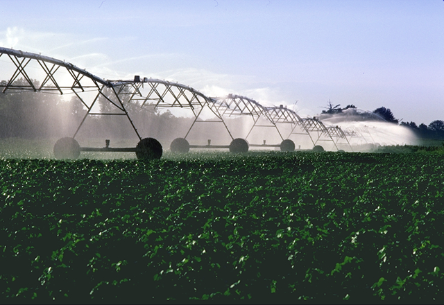 File:PivotIrrigationOnCotton.jpg