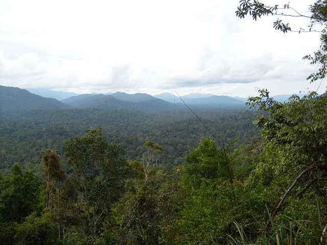 File:Taman Negara 1.JPG