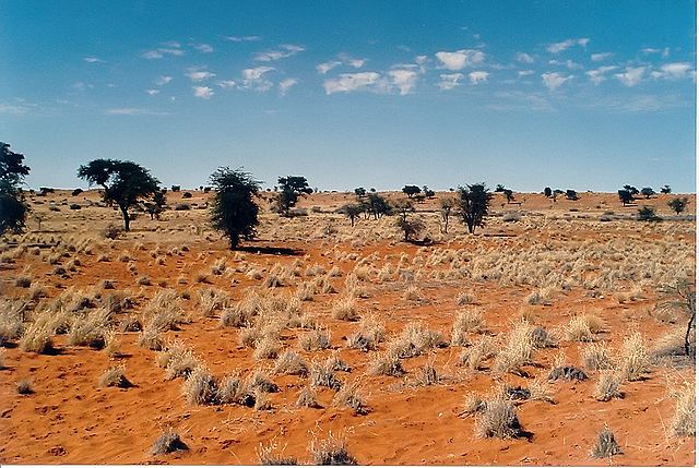 File:Kalahari E02 00.jpg