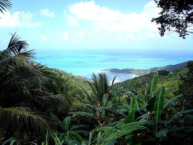 File:Tortola.jpg