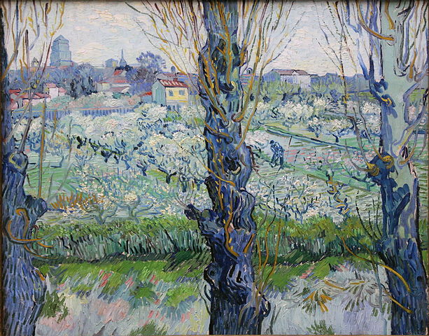 File:Vincent Van Gogh 0018.jpg