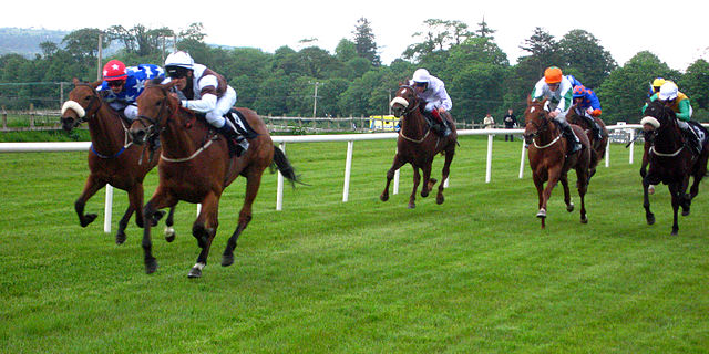 File:Irl-Sligo horse racing.jpg